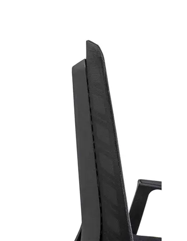 Крісло INTERSTUHL PURE PU213 BLACK MESH