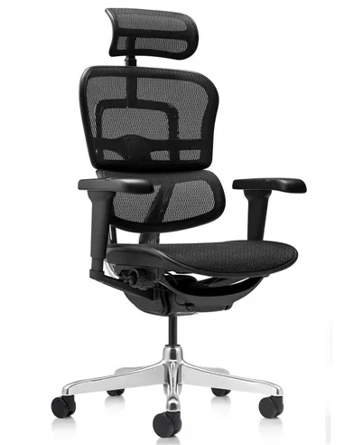Кресло ERGOHUMAN ULTRA (EHU-AB-HAM-4D, сетка T-168-B1 BLACK), эргономичное