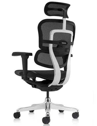 Кресло ERGOHUMAN ULTRA (EHU-AB-HAM-4D, сетка T-168-B1 BLACK), эргономичное