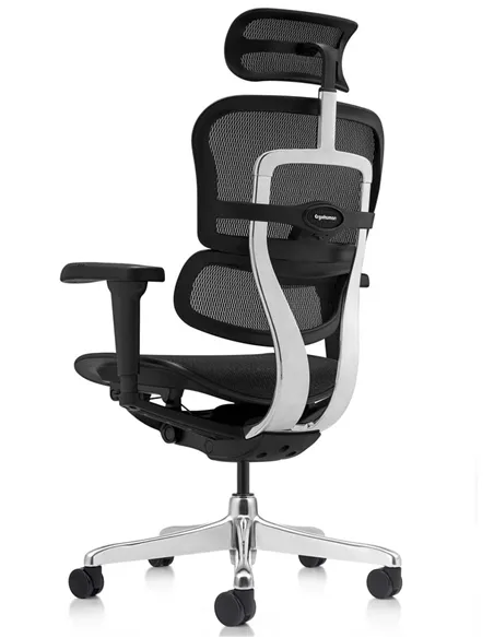 Кресло ERGOHUMAN ULTRA (EHU-AB-HAM-4D, сетка T-168-B1 BLACK), эргономичное