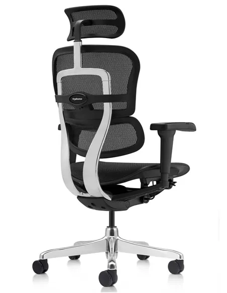 Кресло ERGOHUMAN ULTRA (EHU-AB-HAM-4D, сетка T-168-B1 BLACK), эргономичное