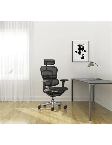 Кресло ERGOHUMAN ULTRA (EHU-AB-HAM-4D, сетка T-168-B1 BLACK), эргономичное
