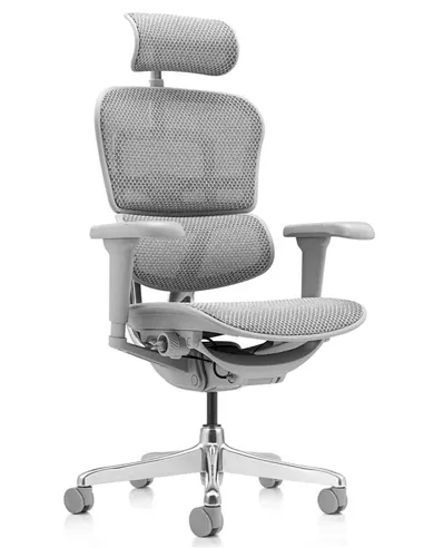 Крісло ERGOHUMAN ULTRA (EHU-AG-HAM-4D, сітка T-168-B2 NATURAL), ергономічне
