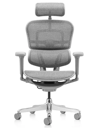 Крісло ERGOHUMAN ULTRA (EHU-AG-HAM-4D, сітка T-168-B2 NATURAL), ергономічне