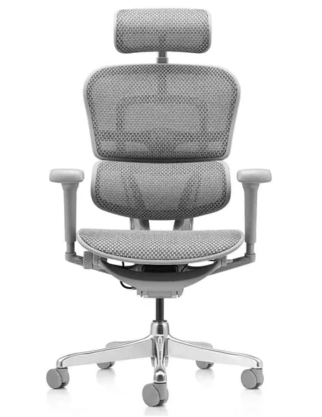 Крісло ERGOHUMAN ULTRA (EHU-AG-HAM-4D, сітка T-168-B2 NATURAL), ергономічне