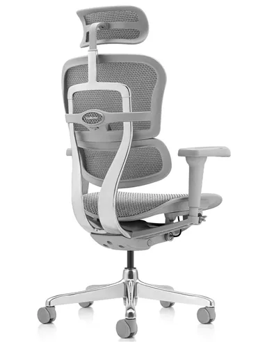Крісло ERGOHUMAN ULTRA (EHU-AG-HAM-4D, сітка T-168-B2 NATURAL), ергономічне