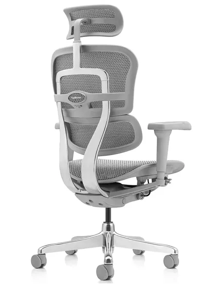 Крісло ERGOHUMAN ULTRA (EHU-AG-HAM-4D, сітка T-168-B2 NATURAL), ергономічне
