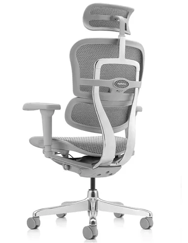 Крісло ERGOHUMAN ULTRA (EHU-AG-HAM-4D, сітка T-168-B2 NATURAL), ергономічне