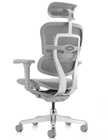 Крісло ERGOHUMAN ULTRA (EHU-AG-HAM-4D, сітка T-168-B2 NATURAL), ергономічне