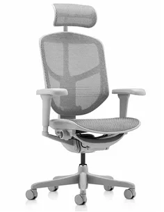 Крісло ENJOY ULTRA (EJU-G-HAM-4D, сітка T-168-B2 NATURAL), ергономічне