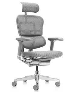 Крісло ERGOHUMAN LUXURY 2 (EHL2-AG-HAM-5D-L, сітка Т-168-B2 Natural), ергономічне