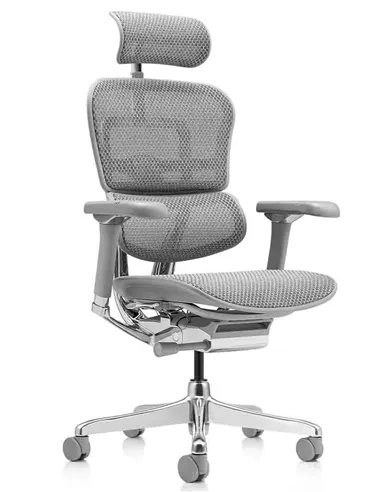 Крісло ERGOHUMAN LUXURY 2 (EHL2-AG-HAM-5D-L, сітка Т-168-B2 Natural), ергономічне