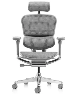 Крісло ERGOHUMAN LUXURY 2 (EHL2-AG-HAM-5D-L, сітка Т-168-B2 Natural), ергономічне 2