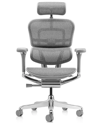 Крісло ERGOHUMAN LUXURY 2 (EHL2-AG-HAM-5D-L, сітка Т-168-B2 Natural), ергономічне