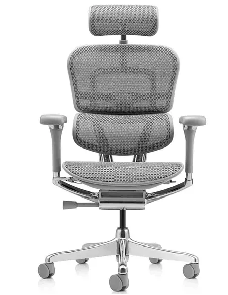 Крісло ERGOHUMAN LUXURY 2 (EHL2-AG-HAM-5D-L, сітка Т-168-B2 Natural), ергономічне