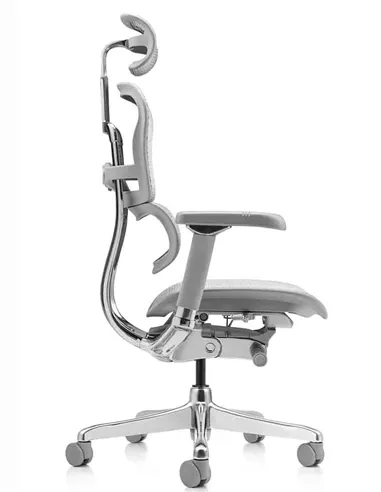 Крісло ERGOHUMAN LUXURY 2 (EHL2-AG-HAM-5D-L, сітка Т-168-B2 Natural), ергономічне
