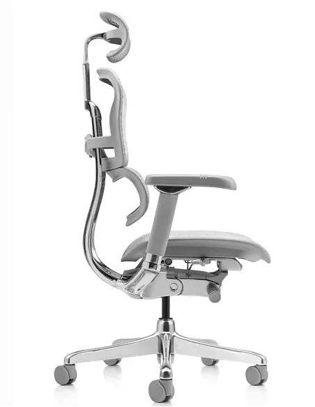 Крісло ERGOHUMAN LUXURY 2 (EHL2-AG-HAM-5D-L, сітка Т-168-B2 Natural), ергономічне