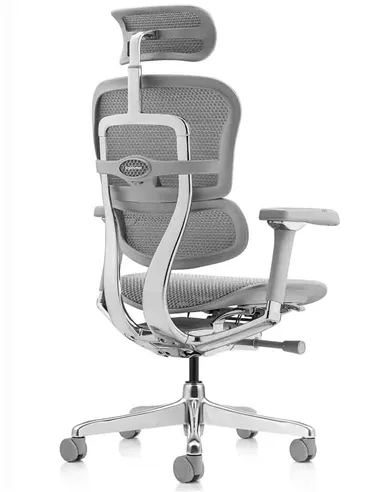 Крісло ERGOHUMAN LUXURY 2 (EHL2-AG-HAM-5D-L, сітка Т-168-B2 Natural), ергономічне