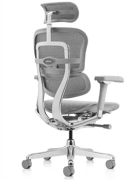 Крісло ERGOHUMAN LUXURY 2 (EHL2-AG-HAM-5D-L, сітка Т-168-B2 Natural), ергономічне