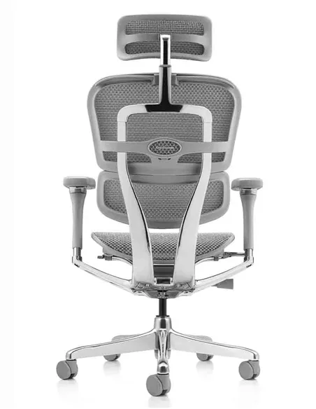 Крісло ERGOHUMAN LUXURY 2 (EHL2-AG-HAM-5D-L, сітка Т-168-B2 Natural), ергономічне