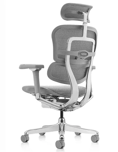 Крісло ERGOHUMAN LUXURY 2 (EHL2-AG-HAM-5D-L, сітка Т-168-B2 Natural), ергономічне