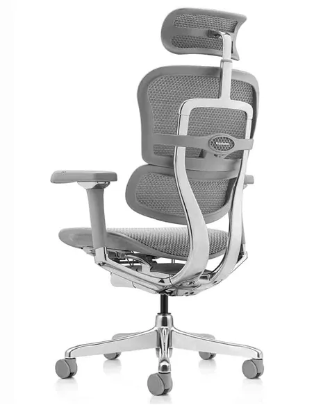 Крісло ERGOHUMAN LUXURY 2 (EHL2-AG-HAM-5D-L, сітка Т-168-B2 Natural), ергономічне