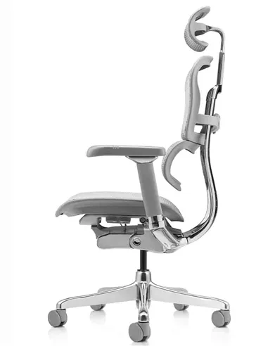 Крісло ERGOHUMAN LUXURY 2 (EHL2-AG-HAM-5D-L, сітка Т-168-B2 Natural), ергономічне