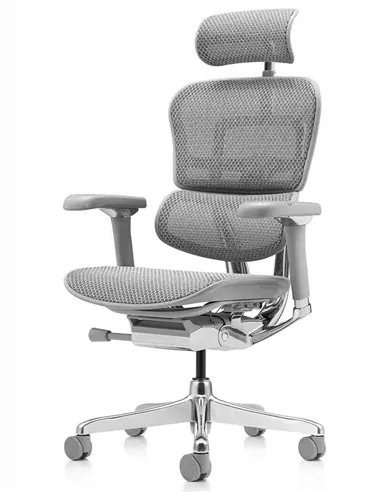 Крісло ERGOHUMAN LUXURY 2 (EHL2-AG-HAM-5D-L, сітка Т-168-B2 Natural), ергономічне