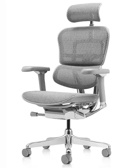 Крісло ERGOHUMAN LUXURY 2 (EHL2-AG-HAM-5D-L, сітка Т-168-B2 Natural), ергономічне