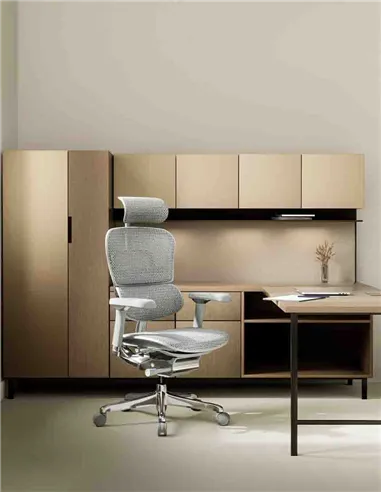 Крісло ERGOHUMAN LUXURY 2 (EHL2-AG-HAM-5D-L, сітка Т-168-B2 Natural), ергономічне