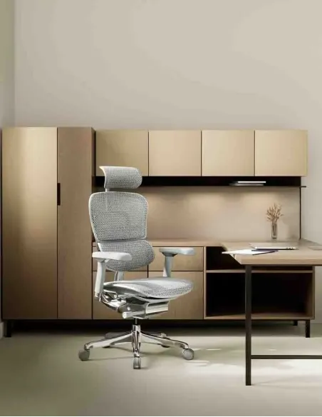 Крісло ERGOHUMAN LUXURY 2 (EHL2-AG-HAM-5D-L, сітка Т-168-B2 Natural), ергономічне