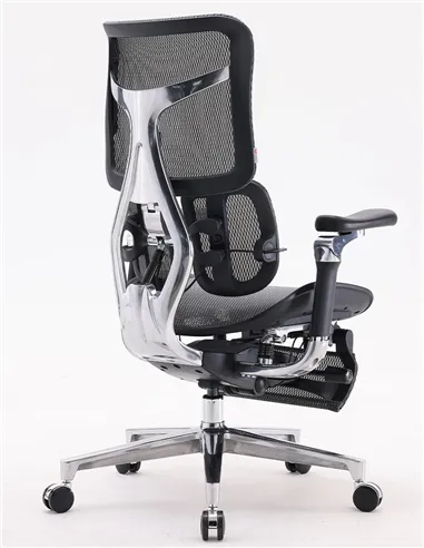 Крісло SIHOO DORO-S300 BLACK ергономічне