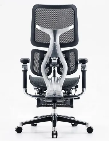 Крісло SIHOO DORO-S300 BLACK ергономічне