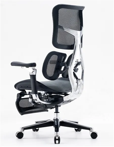 Крісло SIHOO DORO-S300 BLACK ергономічне