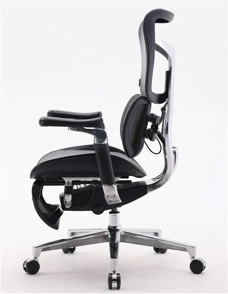 Крісло SIHOO DORO-S300 BLACK ергономічне