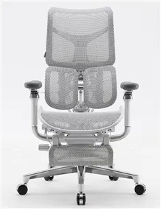 Крісло SIHOO DORO-S300 WHITE ергономічне 2