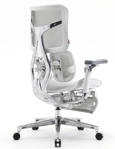 Крісло SIHOO DORO-S300 WHITE ергономічне