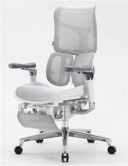 Крісло SIHOO DORO-S300 WHITE ергономічне