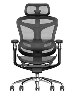 Крісло SIHOO DORO-C300 BLACK ергономічне 2