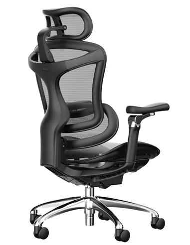 Крісло SIHOO DORO-C300 BLACK ергономічне