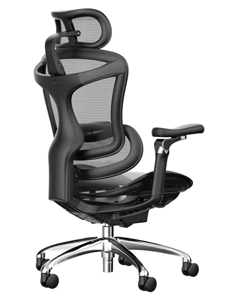 Крісло SIHOO DORO-C300 BLACK ергономічне