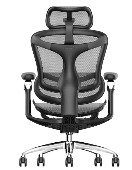 Крісло SIHOO DORO-C300 BLACK ергономічне