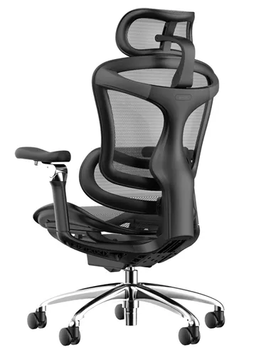 Крісло SIHOO DORO-C300 BLACK ергономічне
