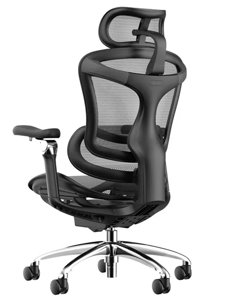 Крісло SIHOO DORO-C300 BLACK ергономічне