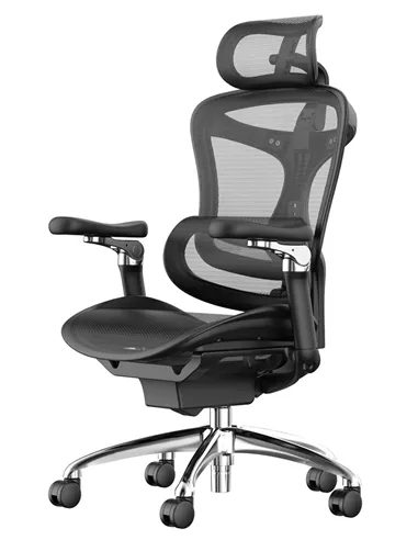 Крісло SIHOO DORO-C300 BLACK ергономічне