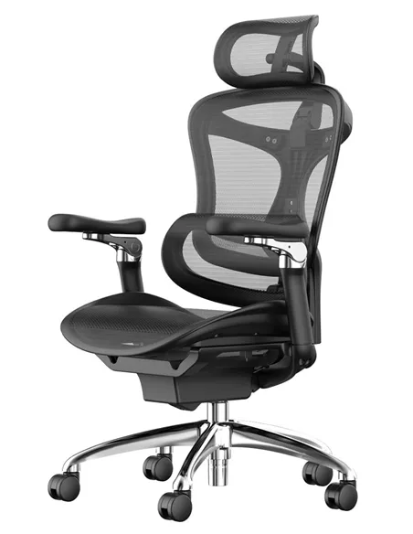 Крісло SIHOO DORO-C300 BLACK ергономічне