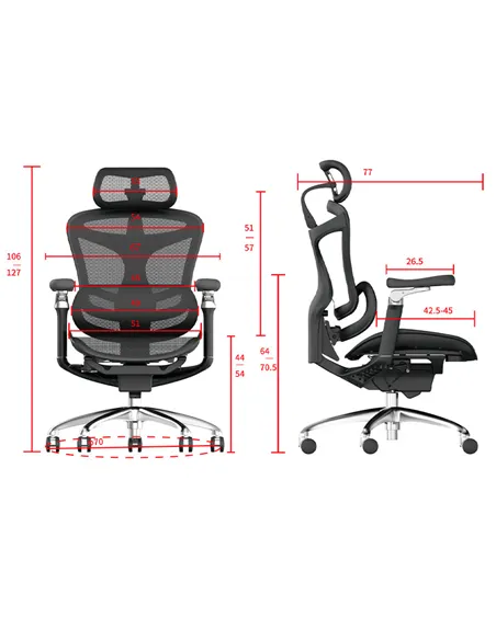 Крісло SIHOO DORO-C300 BLACK ергономічне