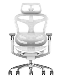 Крісло SIHOO DORO-C300 WHITE ергономічне 2