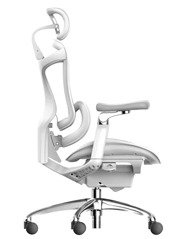 Крісло SIHOO DORO-C300 WHITE ергономічне