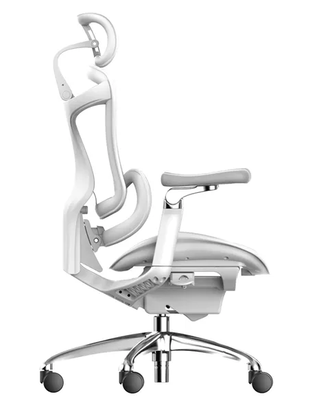Крісло SIHOO DORO-C300 WHITE ергономічне